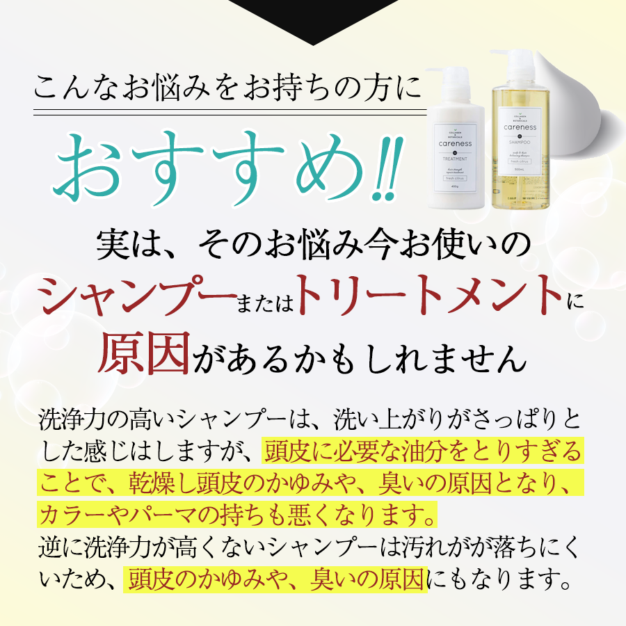  ケアネス　シャンプー　500ml　トリートメント　400g（フルーティーフローラルの香り）