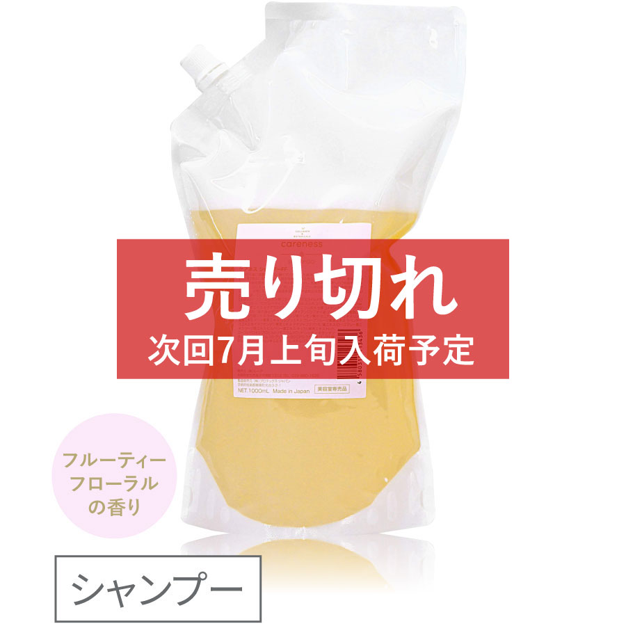 ケアネス シャンプー 1000ml　詰め替え用　【フルーティーフローラルの香り】