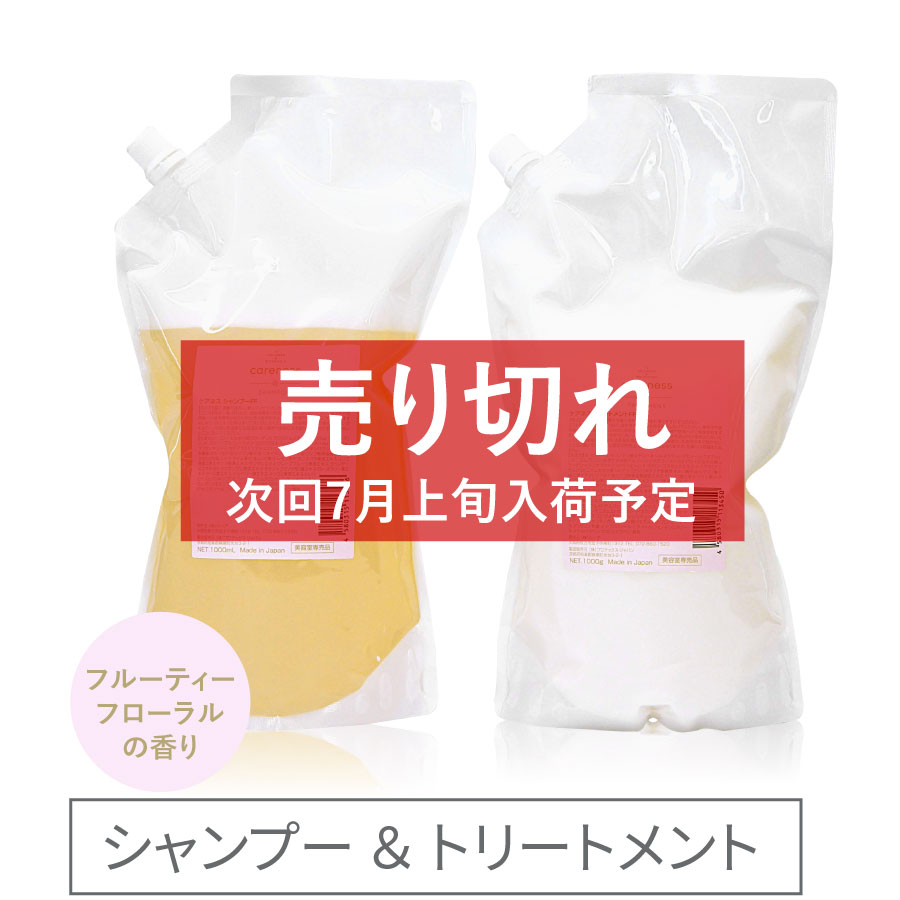 ケアネス シャンプー1000ml　トリートメント1000g　詰め替え用　フローラルの香り