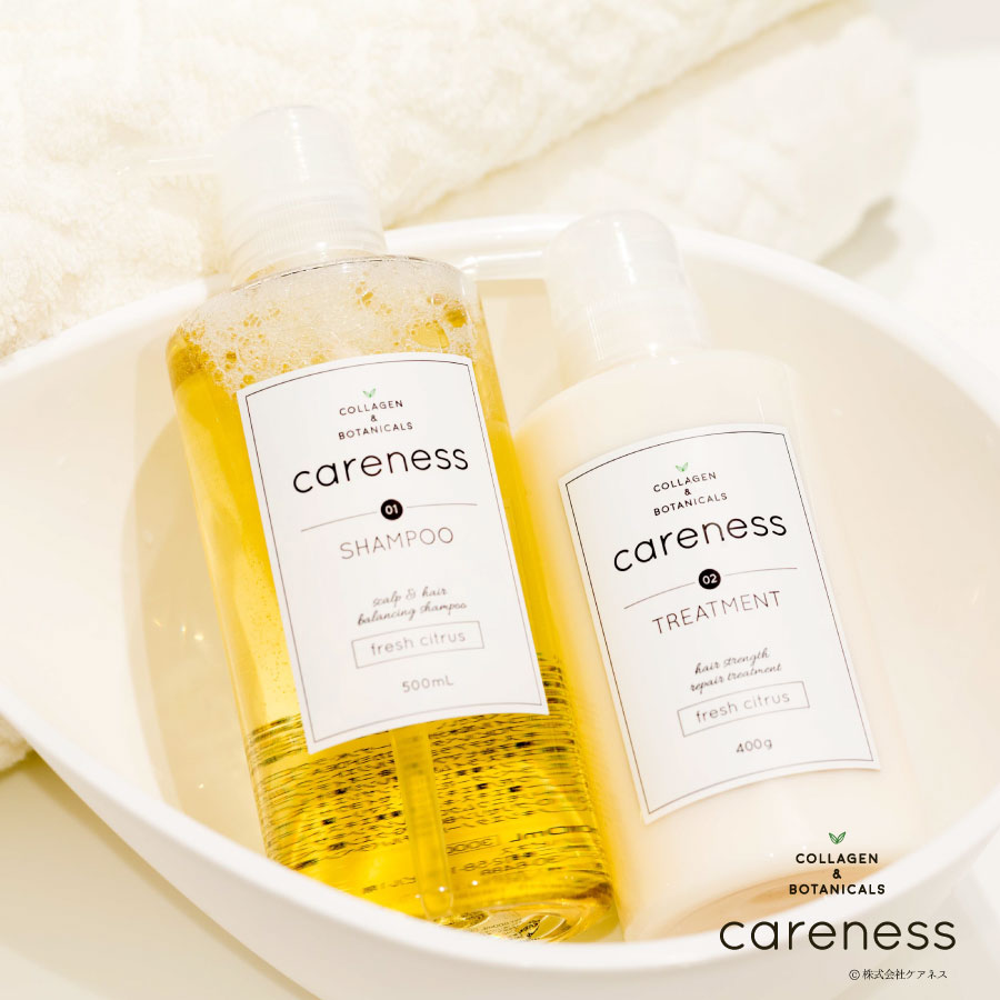 公式 ケアネス シャンプー1000ml トリートメント1000g 詰め替え用