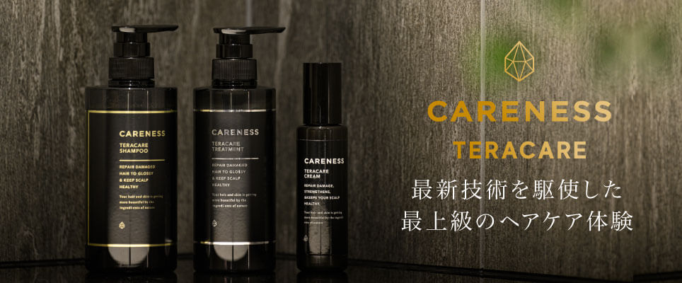 ケアネス CARENESS TERACARE 最新技術を駆使した最上級のヘアケア体験