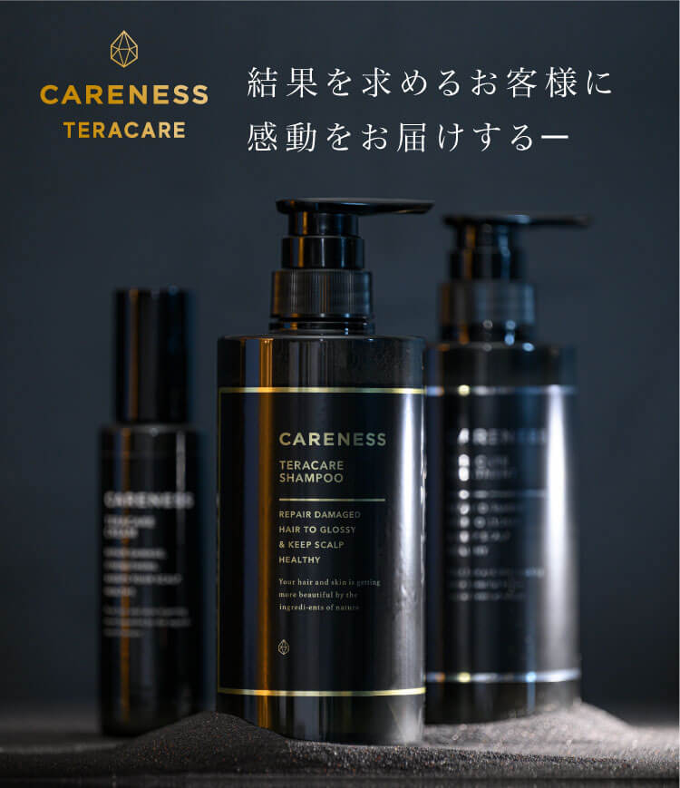 手数料安い CARENESS テラケア スカルプミスト その他 - www