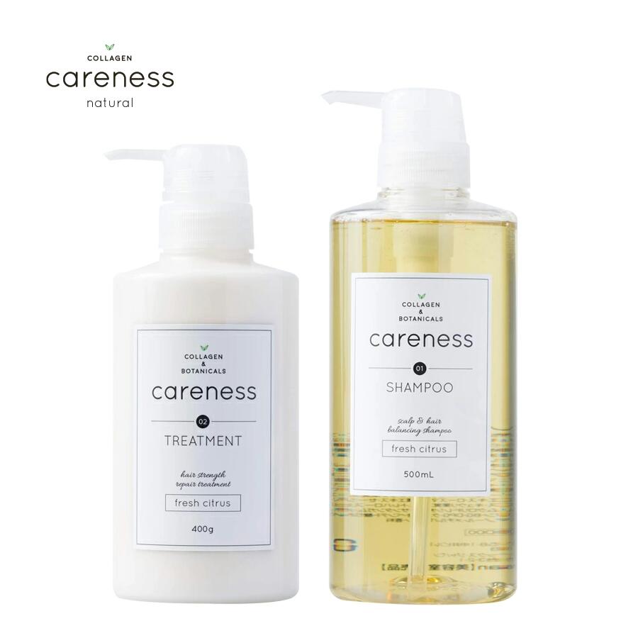 CARENESS テラケアシャンプー1000ml トリートメント1000g - シャンプー