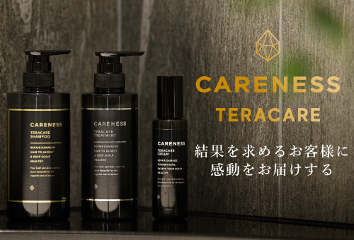 ケアネス シャンプー 300ml トリートメント 200g ヘアオイル 92ml ケアネス シャンプー 300ml トリートメント 200g ヘアオイル 92ml