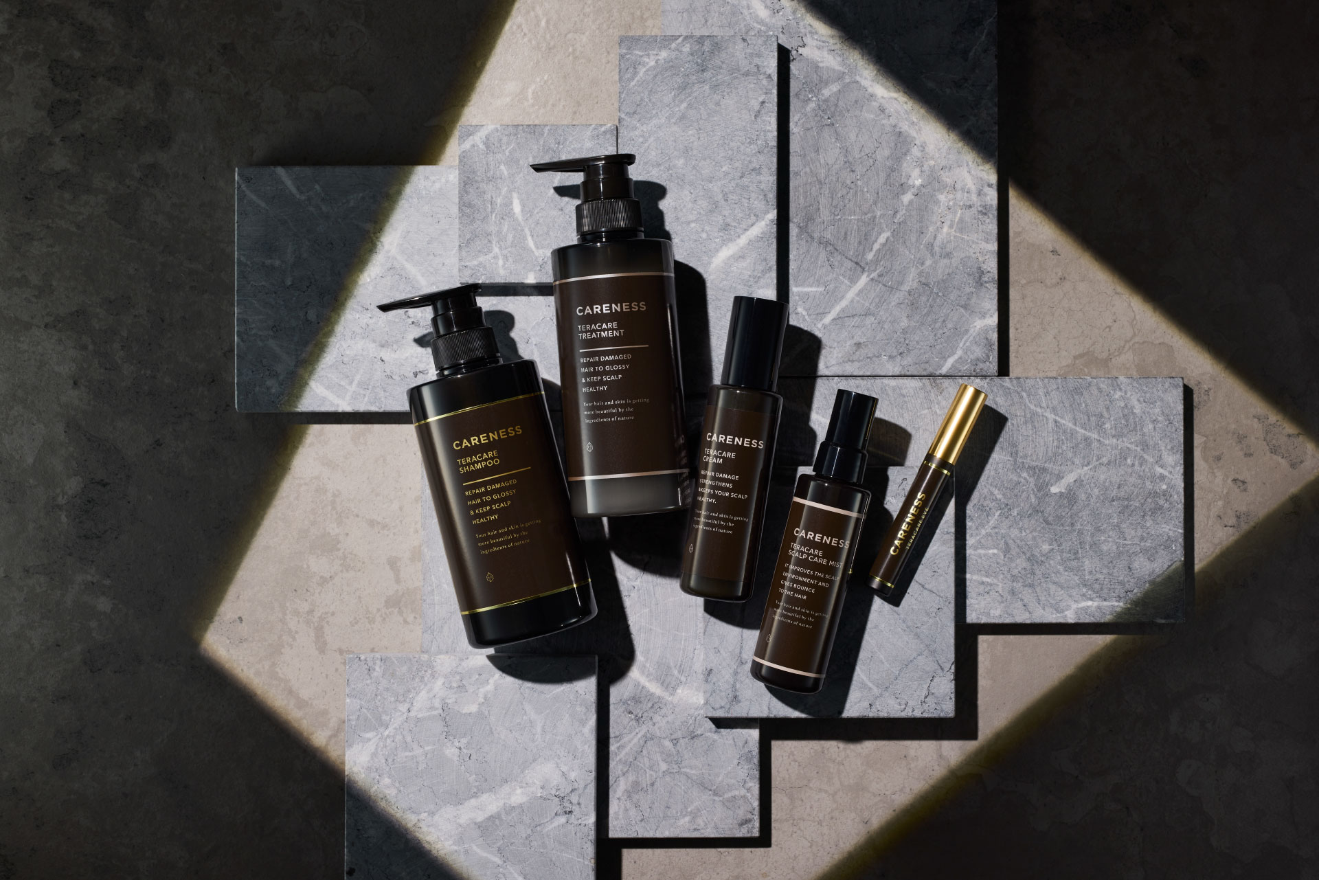 ケアネス テラケア careness teracare