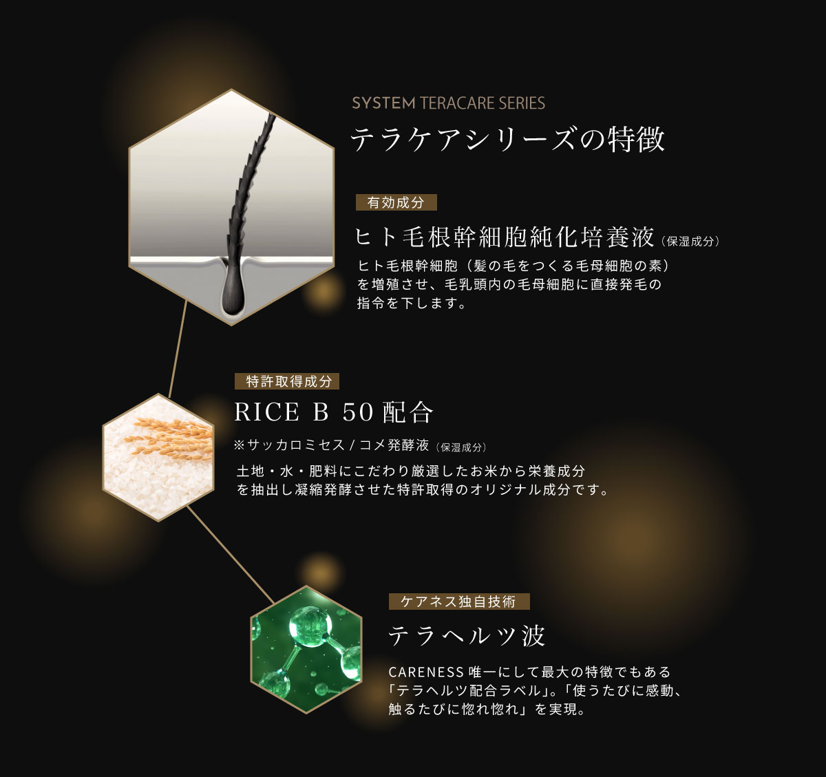 ケアネス　テラケアシリーズの特徴