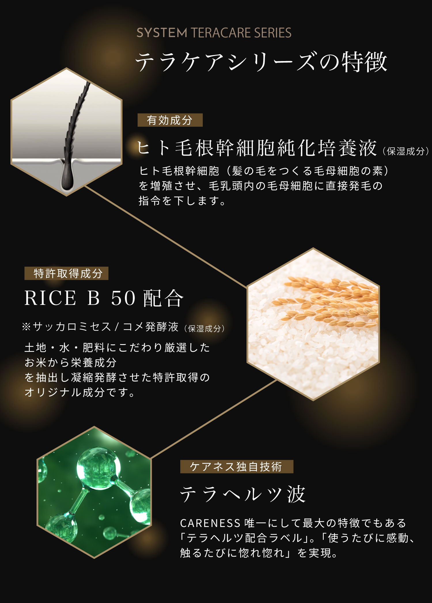 ケアネス　テラケアシリーズの特徴